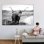 Highland Bull Wall Art