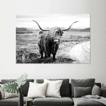 Highland Bull Wall Art