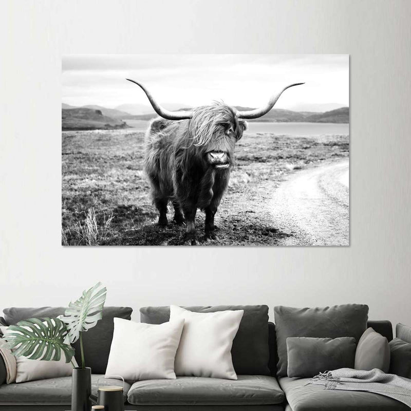 Highland Bull Wall Art