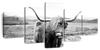 Highland Bull Wall Art