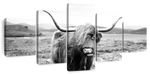 Highland Bull Wall Art
