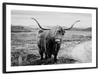 Highland Bull Wall Art
