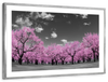 Pop Pink Forest Wall Art