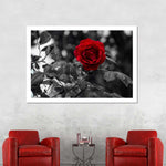 Lone Rose Pop Wall Art