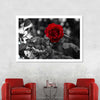Lone Rose Pop Wall Art