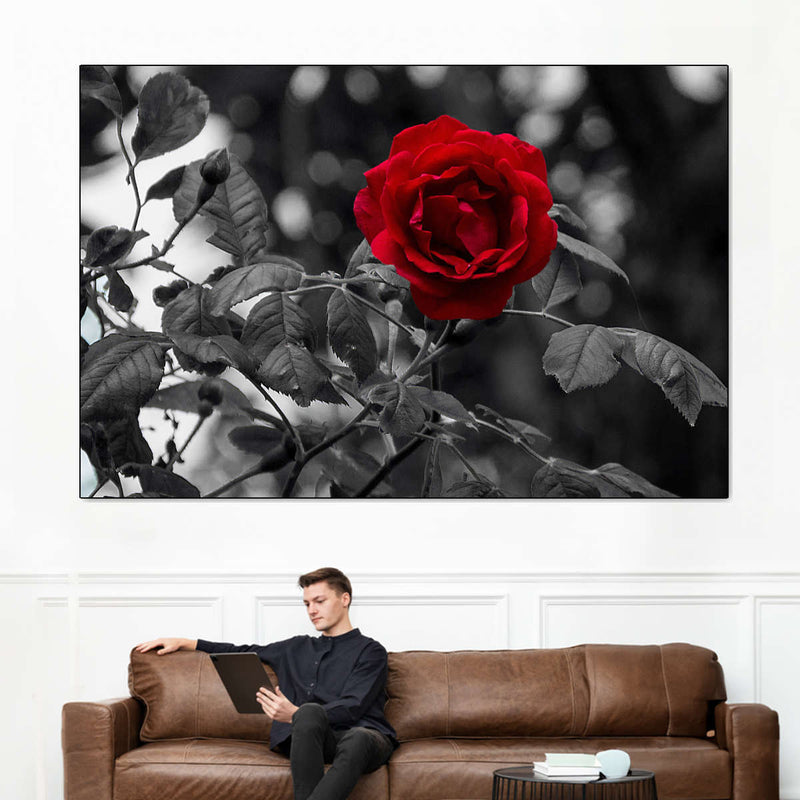 Lone Rose Pop Wall Art