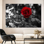 Lone Rose Pop Wall Art
