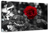 Lone Rose Pop Wall Art