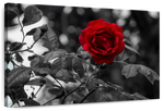 Lone Rose Pop Wall Art