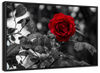 Lone Rose Pop Wall Art