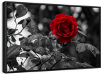 Lone Rose Pop Wall Art
