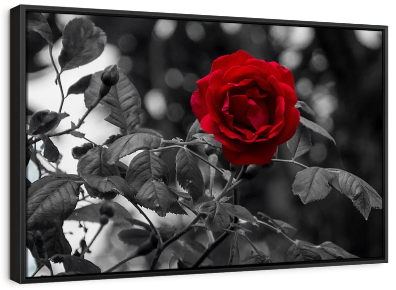Lone Rose Pop Wall Art