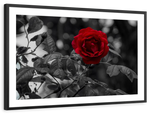 Lone Rose Pop Wall Art