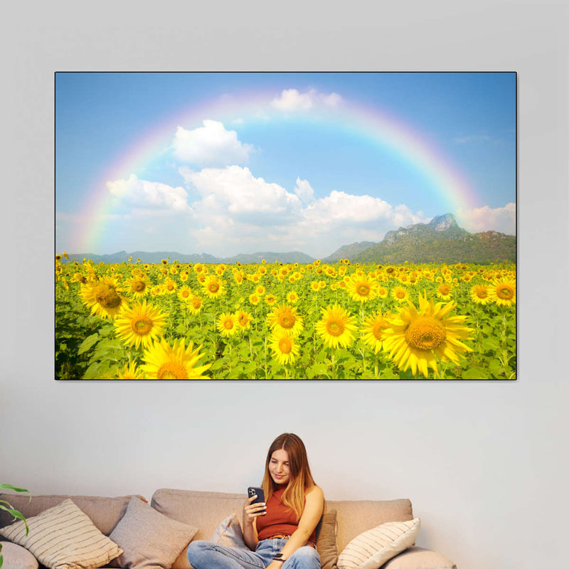 Rainbow Wall Art