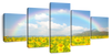 Rainbow Wall Art