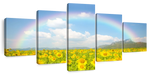 Rainbow Wall Art