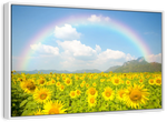 Rainbow Wall Art
