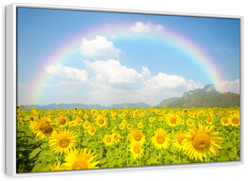 Rainbow Wall Art