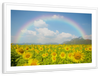 Rainbow Wall Art