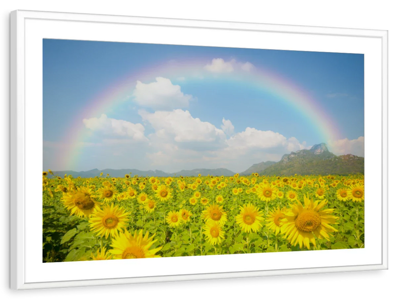 Rainbow Wall Art