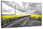 Pop Yellow Flower Field Wall Art