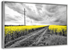 Pop Yellow Flower Field Wall Art