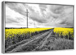 Pop Yellow Flower Field Wall Art