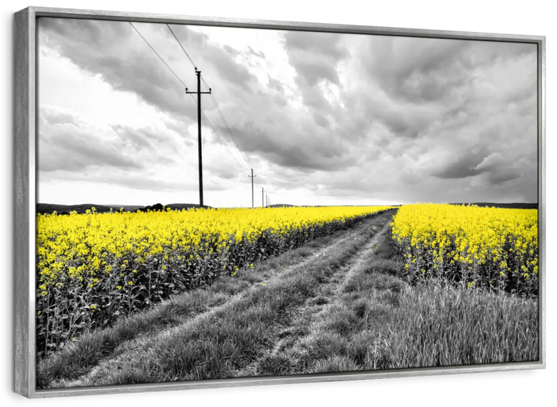 Pop Yellow Flower Field Wall Art