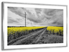 Pop Yellow Flower Field Wall Art
