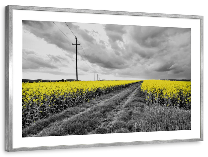 Pop Yellow Flower Field Wall Art