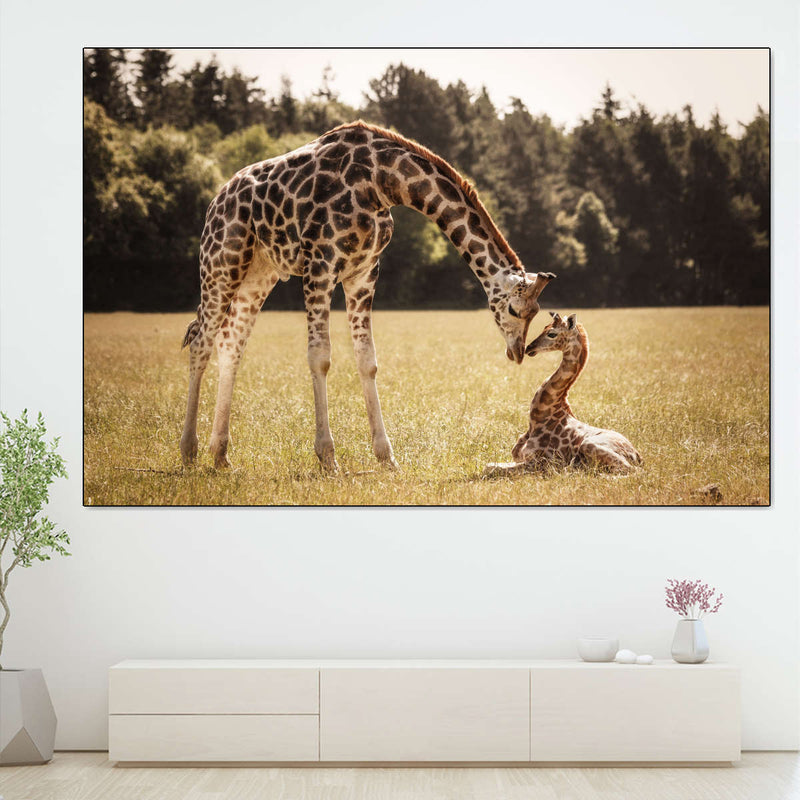 Loving Giraffes Wall Art