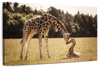 Loving Giraffes Wall Art