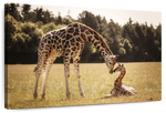 Loving Giraffes Wall Art