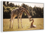 Loving Giraffes Wall Art