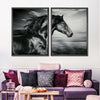Thoroughbred Wall Art