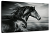 Thoroughbred Wall Art