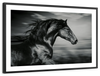Thoroughbred Wall Art