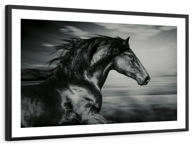 Thoroughbred Wall Art