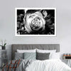 Monochromatic Rose Wall Art
