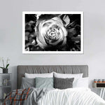 Monochromatic Rose Wall Art