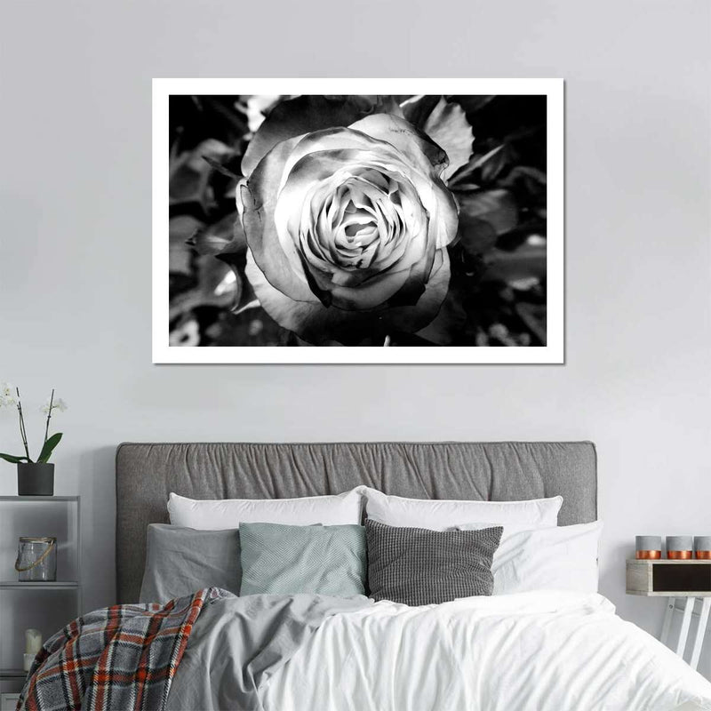 Monochromatic Rose Wall Art