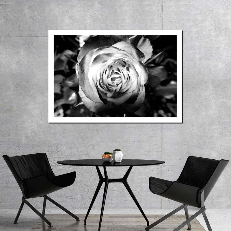 Monochromatic Rose Wall Art