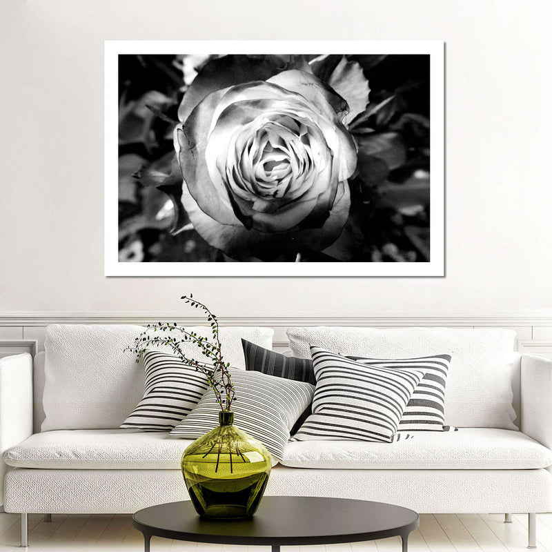 Monochromatic Rose Wall Art