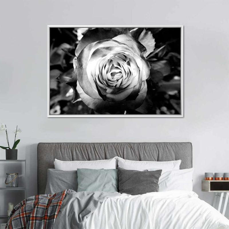 Monochromatic Rose Wall Art