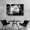 Monochromatic Rose Wall Art