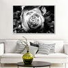 Monochromatic Rose Wall Art