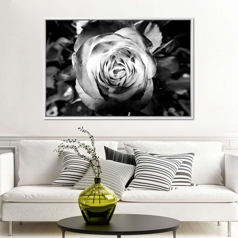 Monochromatic Rose Wall Art