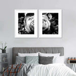Monochromatic Rose Wall Art
