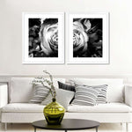 Monochromatic Rose Wall Art