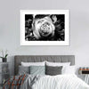 Monochromatic Rose Wall Art